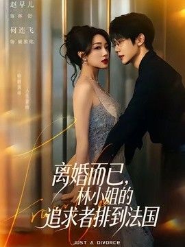 离婚而已，林小姐的追求者排到法国(全集)