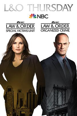 法律与秩序组织犯罪第二季 第5集