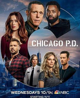 芝加哥警署第八季 第11集